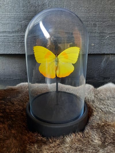 Stolp met vlinder - geel