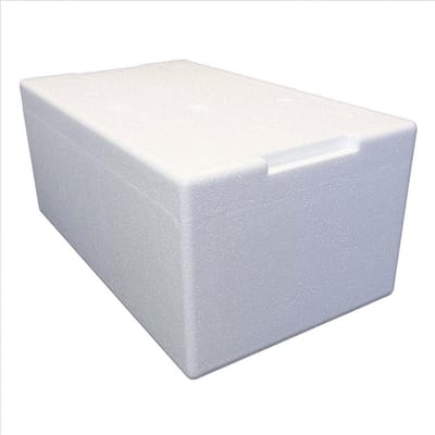 Thermobox 22 liter - Ideaal voor het vervoer van reptielen en insecten - 55 x 32 x 24 cm