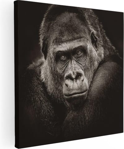 Artaza Canvas Schilderij Gorilla Portret - 30x30 cm - Klein - Wanddecoratie Dierenkop - Muurdecoratie Dieren - Kamer Accessoires