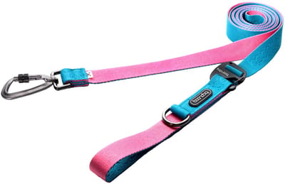 Boondog Hondenriem 2.5m - Verstelbaar - Multifunctioneel - Extra Sterke Nylon Riem - Flexibele Grip - Karabijnhaak - Aqua/Pink - Maat S