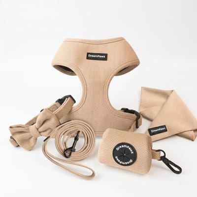 DreamPawz - Set van Harnas, Halsband, Riem en 3 accessoires - 6-Delige Set - Hondentuigje, Halsband, Leiband, Strikje, Poepzakjedispenser, Bandana - incl. Cadeauverpakking - Beige - S