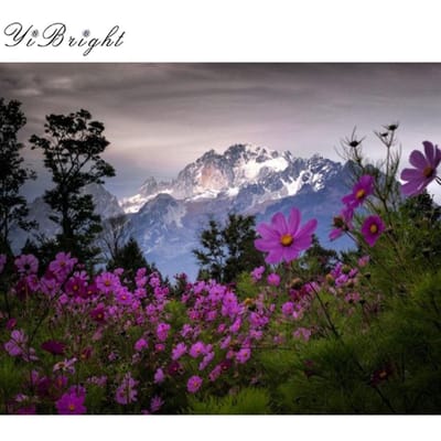 5D DIY Diamond Painting  natuur lente  3D Borduren Kruissteek Mozaïek Foto van Strass Decor 20X30CM gray