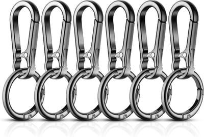 Set van 6 Verwijderbare Carabiners - Metalen Sleutelhangers voor Sleutels, Rugzakken en Kamperen