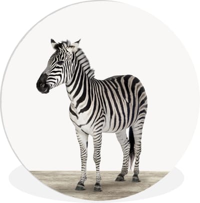 Muurdecoratie kinderkamer - Wandcirkel dieren - Zebra - Dieren - Safari - Wit - Kinder decoratie - 150x150 cm - Kunststof