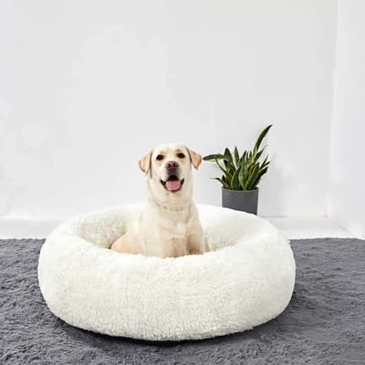 Kattenmand, kattenbed, opvouwbaar, voor katten of kleinere honden, zacht, pluizig kunstbont 50 cm