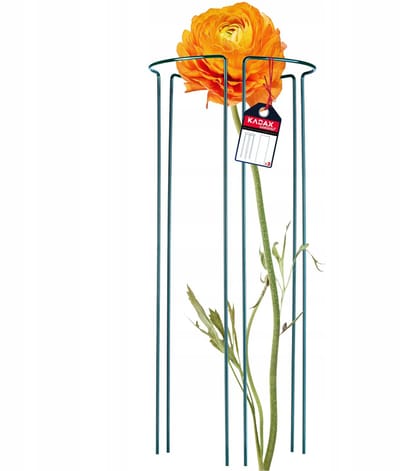 KADAX Plantenhouder, 3 stuks, stalen steunen, halfronde klimhulp voor planten, tuin, weerbestendige bloemenhouder, struiksteun, vrijstaand (hoogte: 60 cm)