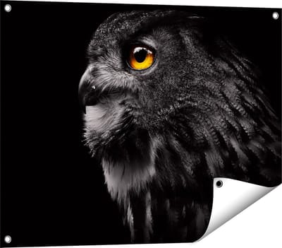 Gards Tuinposter Zwarte Uil met Gouden Ogen - 80x60 cm - Tuindoek - Tuindecoratie - Wanddecoratie buiten - Tuinschilderij