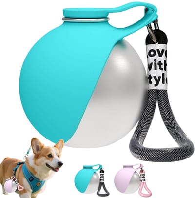Ryoudavell - 2-in-1 draagbare drinkfles voor honden - Drinkfles voor huisdieren - met opvouwbare siliconen kom - RVS - Lekvrij - Ideaal voor reizen en wandelen - Compact en draagbaar - Honden
