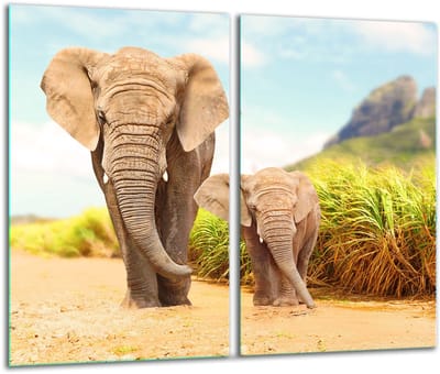 TMK ArtDeko - Snijplank Glas - 30x52cm - Twee Stuks - Sloffen Design