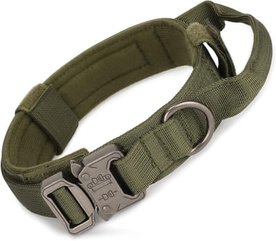 Verstelbare Hondenhalsband met Handvat, Geschikt voor Training en Buitenactiviteiten, Metalen Gesp en Gevoerde Comfort voor Middelgrote en Grote Honden