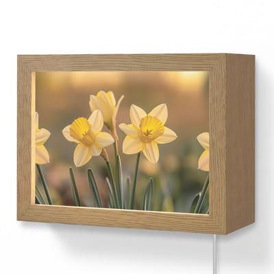 Wandlamp 20x15 cm - Oplaadbaar - Bloemen - Geel - Wazig - Wandlampen binnen woonkamer - Slaapkamer lamp met kabel - Decoratieve nachtlamp - Vloerlamp snoer