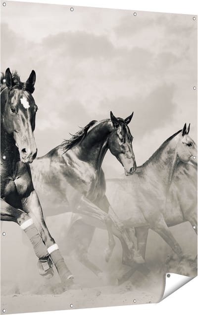 Gards Tuinposter Vier Paarden naast Elkaar - Zwart Wit - 120x160 cm - Tuindoek - Tuindecoratie - Wanddecoratie buiten - Tuinschilderij