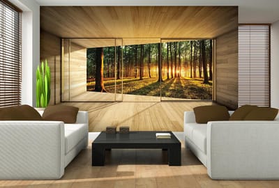 Window Forest Trees Beam Light Nature Photo Wallcovering