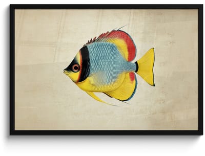 Poster in lijst - Fotolijst 90x60 cm - Posters - Kleurrijk - Vis - Schubben - Illustratie - Posterlijst zwart - Decoratie - Wanddecoratie woonkamer - Muurdecoratie slaapkamer