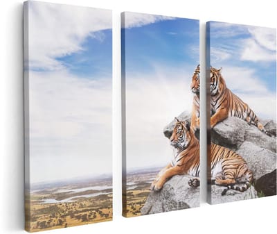 Artaza Canvas Schilderij Drieluik Twee Tijgers Op Rotsen Met Het Blauwe Lucht - 120x80 - Foto Op Canvas - Canvas Print