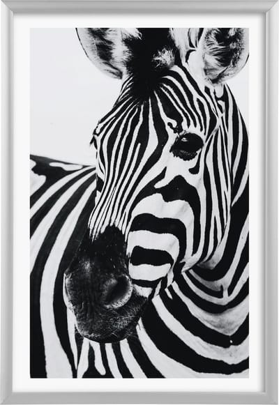 Goldbuch - Fotolijst Alluminio - Zilver - 20x30 cm