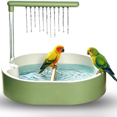 Vogeldouche - Papegaaiendouche - Vogeldouchebak - Automatisch vogelbad - Waterspeelgoed voor vogels - Kunststof - 31,8 x 25 x 8,5 cm - Geschikt voor diverse vogels, waaronder papegaaien, dwergpapegaaien en zebrapapegaaien - Groen