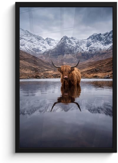 Poster in lijst - Fotolijst 40x60 cm - Posters - Schotse hooglander - Bruin - Water - Posterlijst zwart - Decoratie - Wanddecoratie woonkamer - Muurdecoratie slaapkamer