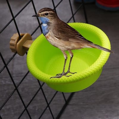 Vogelbad - Vogelbadje - Vogeldrinkschaal - Vogel Voederschaal - plastic - Vogeldrinkbak - Wandmontage - Vogelbadkooi - Vogel Badhuis - 12×4.6cm - Groente