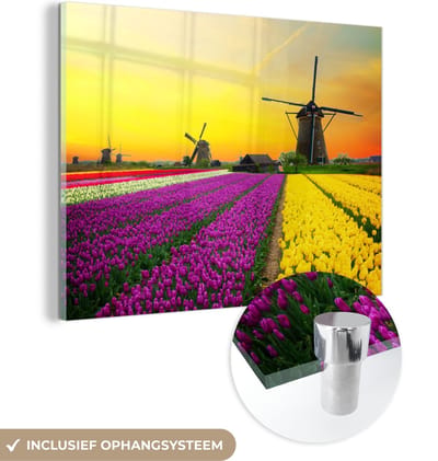 MuchoWow® Glasschilderij 40x30 cm - Schilderij acrylglas - Windmolen - Tulpen - Bloemen - Lente - Foto op glas - Schilderijen