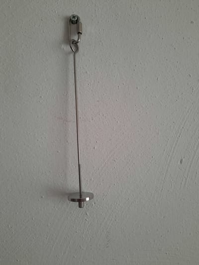 fruit pin