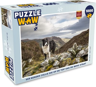 Puzzel Een border collie die op de top van de berg staat - Legpuzzel - Puzzel 1000 stukjes volwassenen