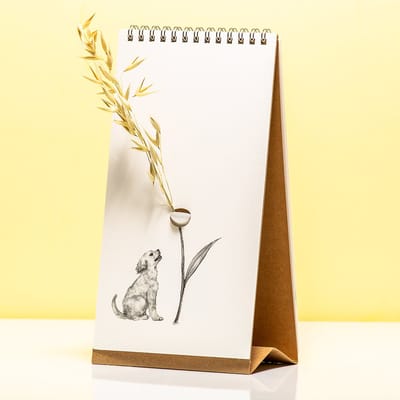 Flip Vase - companion