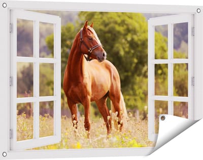 Gards Tuinposter Doorkijk Bruin Paard in de Wei - 90x60 cm - Tuindoek - Tuindecoratie - Wanddecoratie buiten - Tuinschilderij