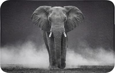 Badmat 80x50 cm - Antislip - Olifant - Zwart - Wit - Rook - Badmatten voor badkamer - Badkamermat - Douchemat - Badkamer mat