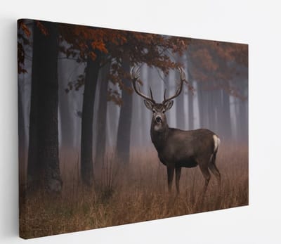 Saammp Canvas Schilderij - Hert bij een bos tijdens de herfst - Natuur - Dieren - 45x30 - Foto op canvas - Wanddecoratie - Muurdecoratie Woonkamer - Slaapkamer decoratie - Canvas Print