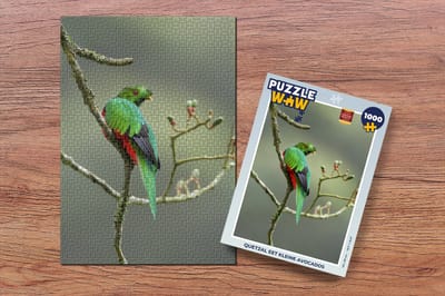 Puzzel Quetzal eet kleine avocados - Legpuzzel - Puzzel 1000 stukjes volwassenen