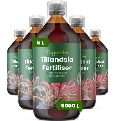 Vloeibare Meststof Voor Tillandsia 5X1 L Voor 5000 L - Npk 2-1-8 - Versterkt De Bladstructuur En Stevigheid - Bevordert Compacte - Evenwichtige Groei - Geschikt Voor Grondloze En Opgehangen Planten - Ondersteunt Langdurige Vitaliteit - Organifer