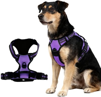 Tuigje voor middelgrote honden, reflecterend, middelgrote en grote maat, geschikt voor wandelen, hardlopen, training, paars, S
