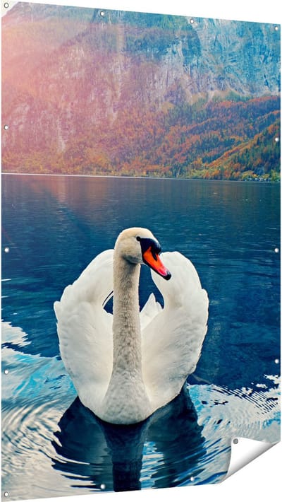 Gards Tuinposter Zwaan op het Water in de Bergen - 120x180 cm - Tuindoek - Tuindecoratie - Wanddecoratie buiten - Tuinschilderij