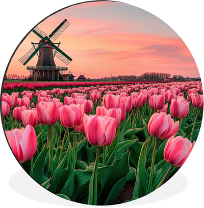 WallCircle - Wandcirkel - Muurcirkel - Tulpen - Molen - Nederland - Aluminium - Dibond - 30x30 cm - Binnen en Buiten