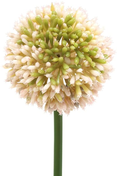 Sier allium kunstroze / groen Ø8cm 58cm