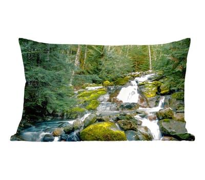 Sierkussens - Kussentjes Woonkamer - 50x30 cm - Natuur - Waterval - Bomen - Herfst