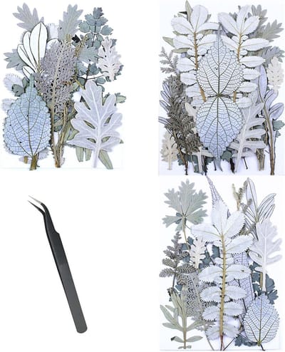 46-delige Set Natuurlijke Gedroogde Bloemen voor Resin, Kaarsen, DIY Sieraden en Decoratie