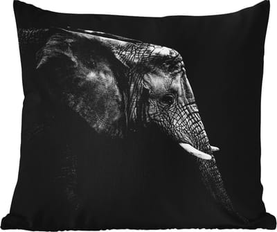 Tuinkussen - Olifant - Zwart wit - Portret - Dieren - 40x40 cm - Weerbestendig