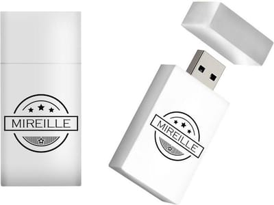 MIREILLE naam kado verjaardagscadeau cadeau usb stick 16GB - naam cadeau, gefeliciteerd cadeau
