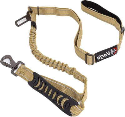 Hondenriem Bungee - Hondenlijn Flexibel - Wandelen met Hond - Anti-Shock Technologie - 1.2 - 1.8 meter - Zand