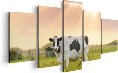 Artaza Canvas Schilderij Vijfluik Zwart Wit Koe In De Wei Bij Zonsopkomst - 100x50 - Foto Op Canvas - Canvas Print