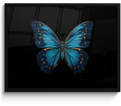 Poster in lijst - Fotolijst 70x50 cm - Posters - Vlinder - Blauw - Contrast - Posterlijst zwart - Decoratie - Wanddecoratie woonkamer - Muurdecoratie slaapkamer