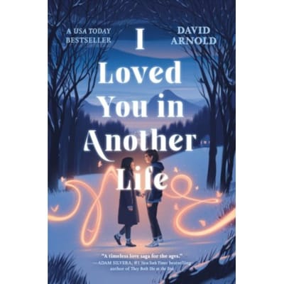 I Loved You In Another Life - David Arnold