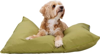 maxxpro Hondenmand - Hondenkussen 60 x 80 cm - Hondenbed - Kussen Hond met Rits - Polyester en Microvezel - Groen