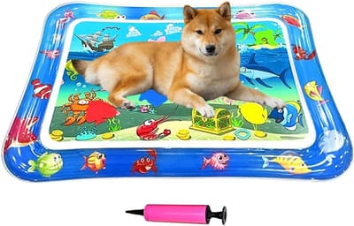 Watermat voor Katten - Opblaasbaar Speelmatje - Verkoeling en Spel - Niet-slip en Waterdicht - 66x47 cm - Blauw