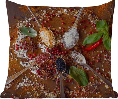 Buitenkussen Weerbestendig - Specerijen - Kruiden - Lepels - Zout - Bruin - Keuken - 50x50 cm