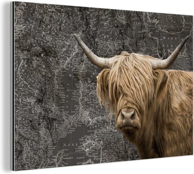 Aluminium schilderij 120x80 cm - Wanddecoratie metaal - Schotse hooglander - Wereldkaart - Koe - Metalen muurdecoratie woonkamer - Decoratie industrieel - Foto op dibond - Industriële accessoires slaapkamer