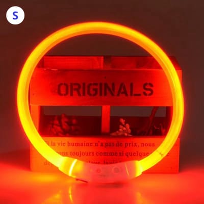 Livano Lichtgevende Halsband - Verlichte Halsband - Lichtgevend - Hond - Kat - Lampje - Hondenhalsband Led - Oplaadbaar - Oranje - S