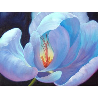 5D DIY diamant schilderij mooie bloem borduurwerk mozaïek kruissteek strass decoratie 20X30CM gray